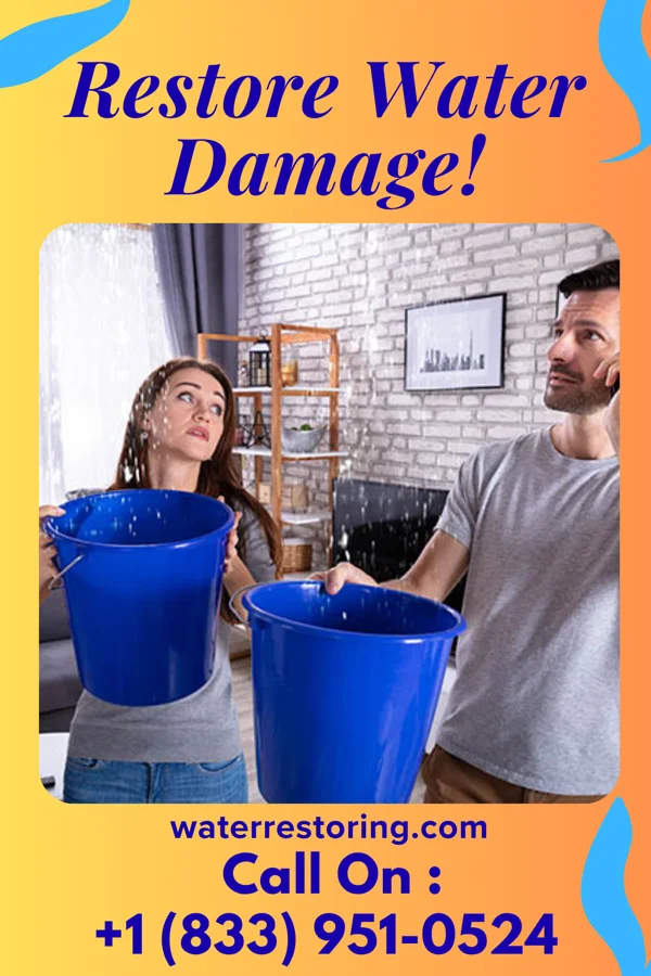 water restoration Local Drying Group West Springfield