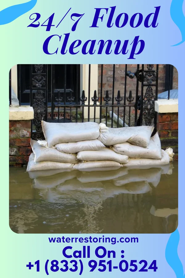 24/7 Flood Cleanup in West Springfield, VA