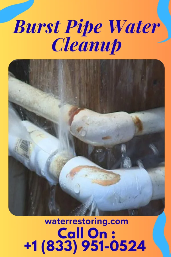Burst Pipe Water Cleanup in West Springfield, VA