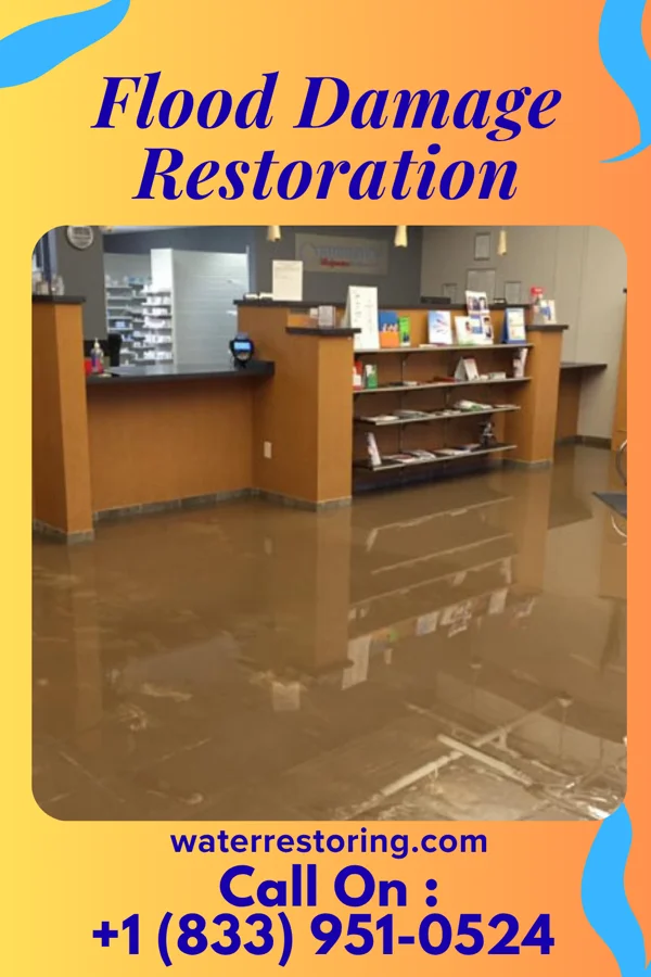 Flood Damage Restoration in West Springfield, VA