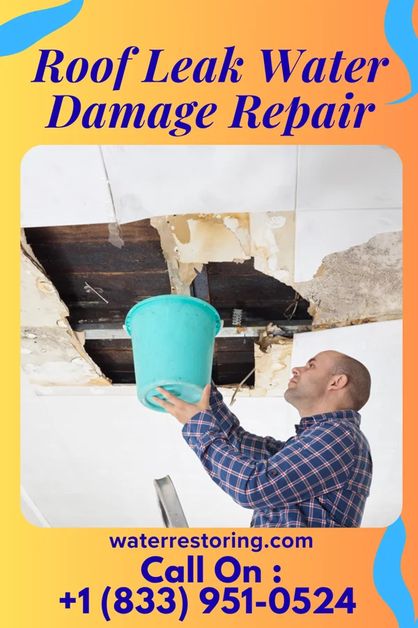 Roof Leak Water Damage Repair in West Springfield, VA