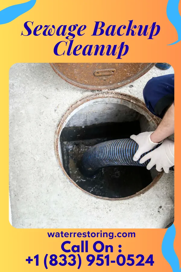 Sewage Backup Cleanup in West Springfield, VA