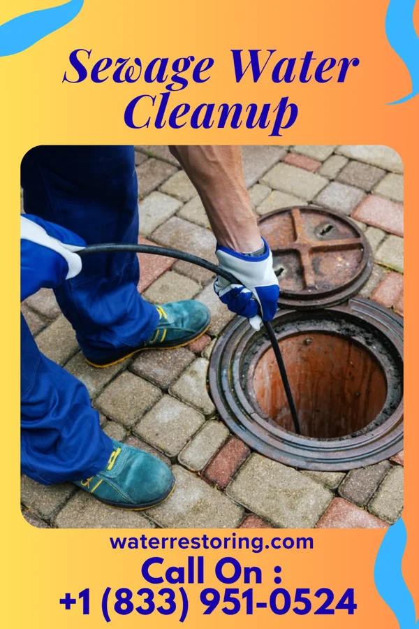 Sewage Water Cleanup in West Springfield, VA